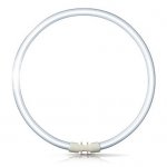 Osram Fluorescent T5 Circular 22W 4-Pin 830 Warm White