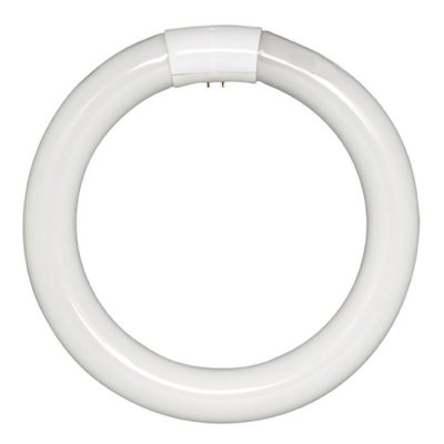 Crompton Fluorescent T9 Circular 22W 4-Pin Cool White CIR22SPCW