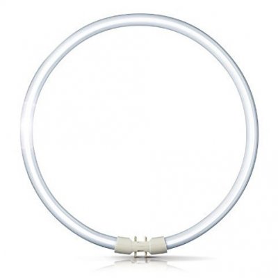 Osram Fluorescent T5 Circular 22W 4-Pin 865 Cool Daylight