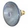 Radium 100w 240v E27 Par38 Halogen 30 Flood Dimmable